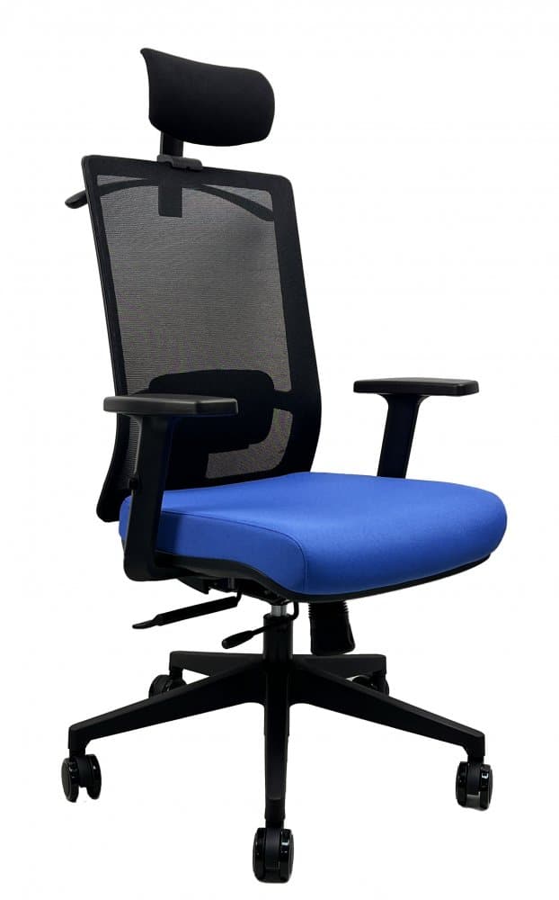 Kancelářská ergonomická židle DVIS — více barev Modrá - náhled 1