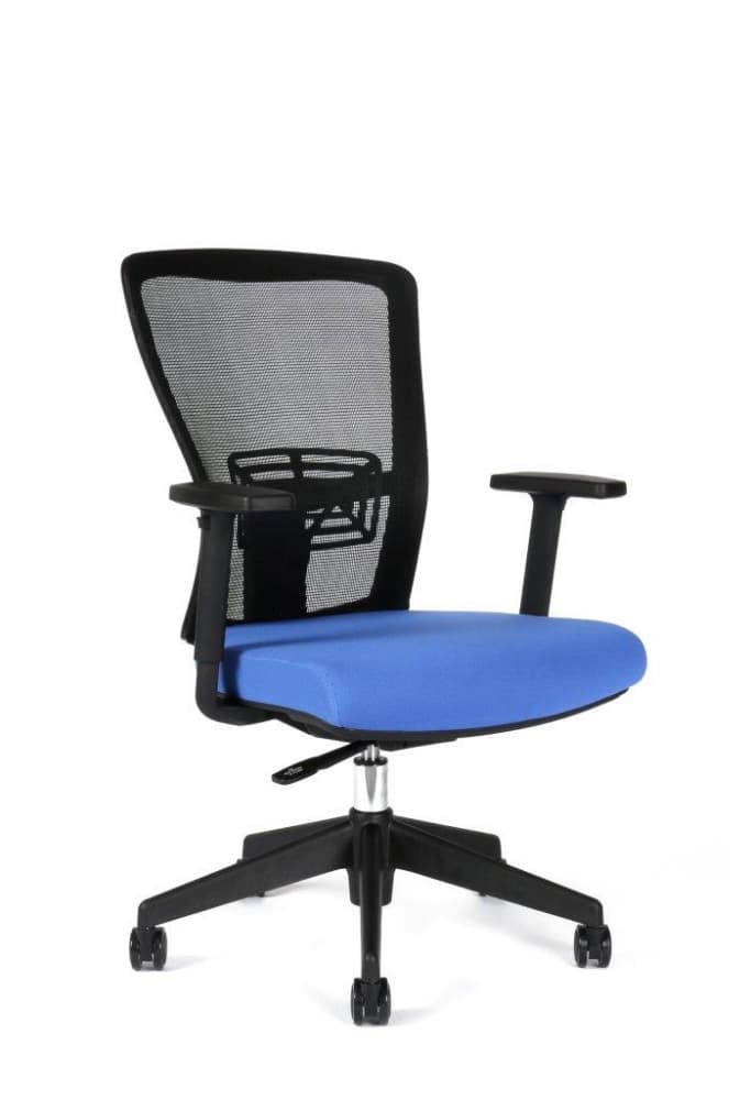 Office Pro Themis BP modrá - náhled 2