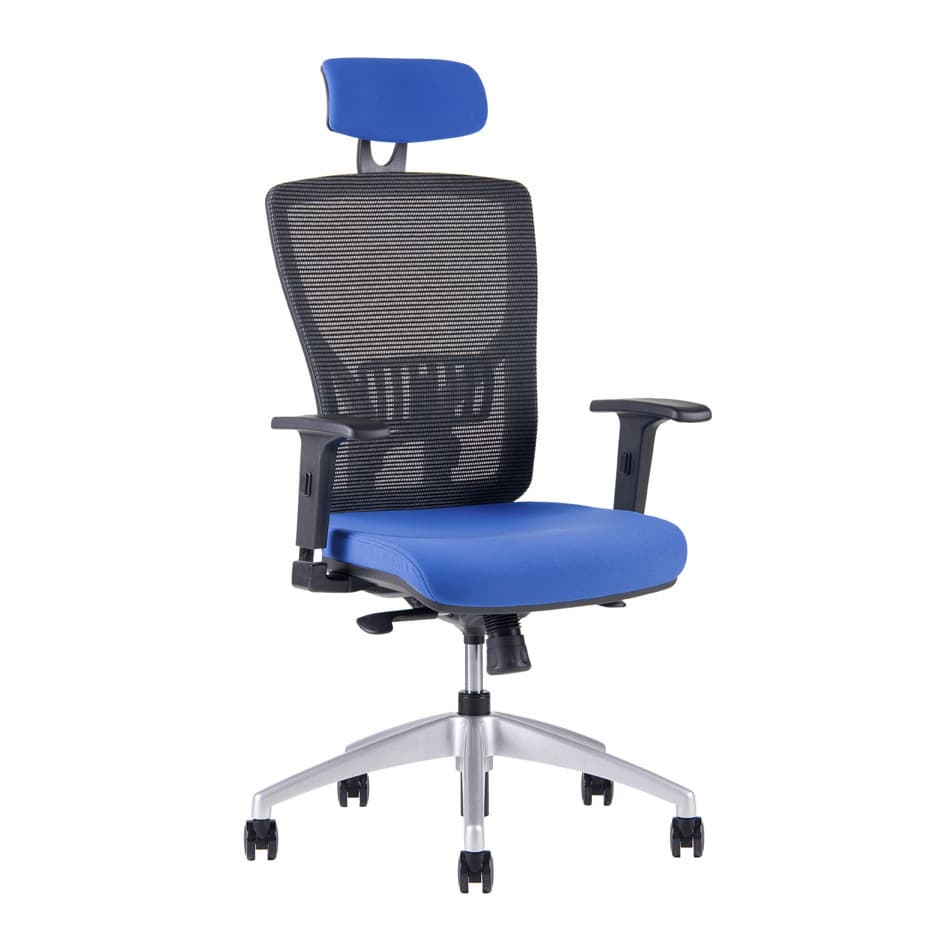 Kancelářská ergonomická židle HALIA MESH SP – s podhlavníkem, více barev