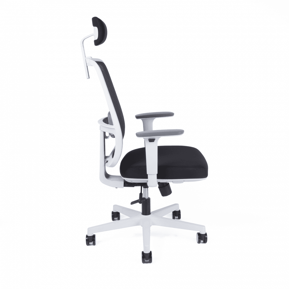 Kancelářská ergonomická židle CANTO W — černá / bílá - náhled 5
