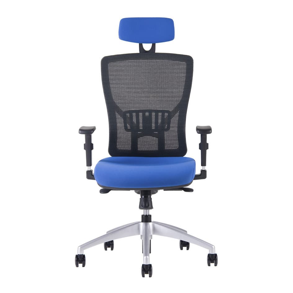 Kancelářská ergonomická židle HALIA MESH SP – s podhlavníkem, více barev Modrá 2621 - náhled 2