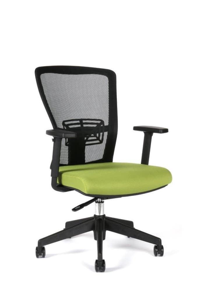 Office Pro Themis BP modrá - náhled 4