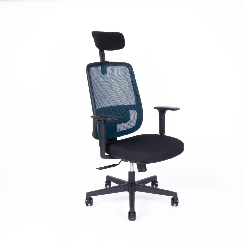 Kancelářská ergonomická židle CANTO — více barev Modrá - náhled 1
