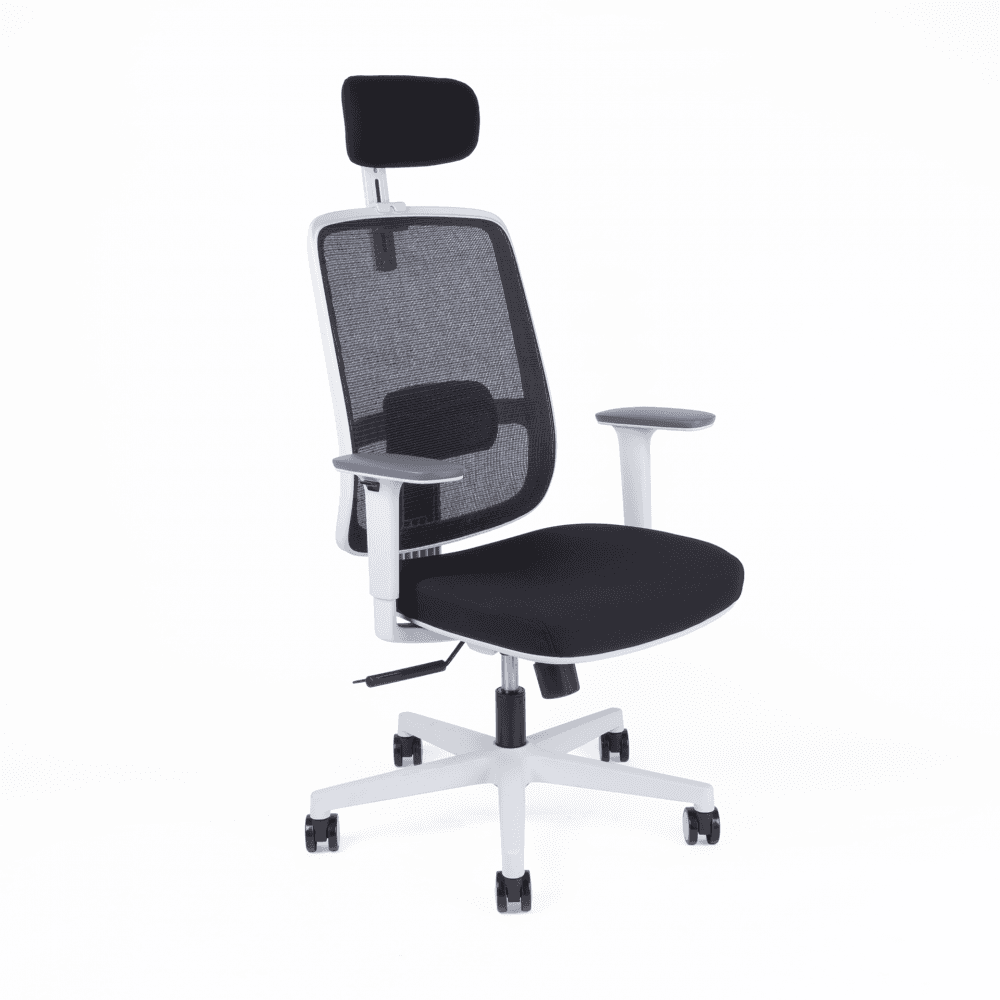 Kancelářská ergonomická židle CANTO W — černá / bílá