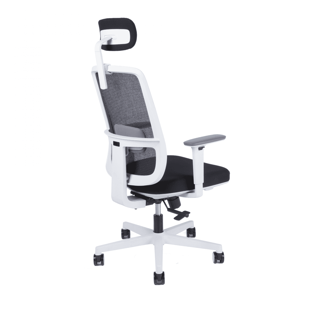 Kancelářská ergonomická židle CANTO W — černá / bílá - náhled 4