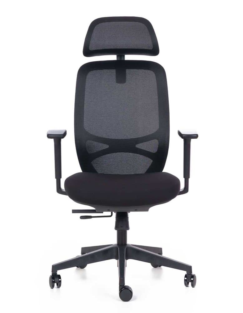 Kancelářská ergonomická židle Sego Adapta - síť, více barev černá - náhled 4