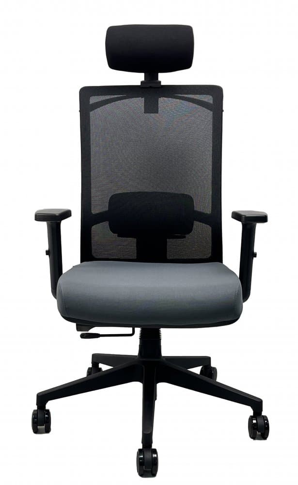 Kancelářská ergonomická židle DVIS — více barev Modrá - náhled 4