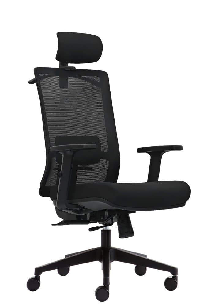 Kancelářská ergonomická židle DVIS — více barev