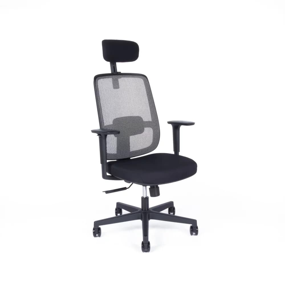 Kancelářská ergonomická židle CANTO — více barev