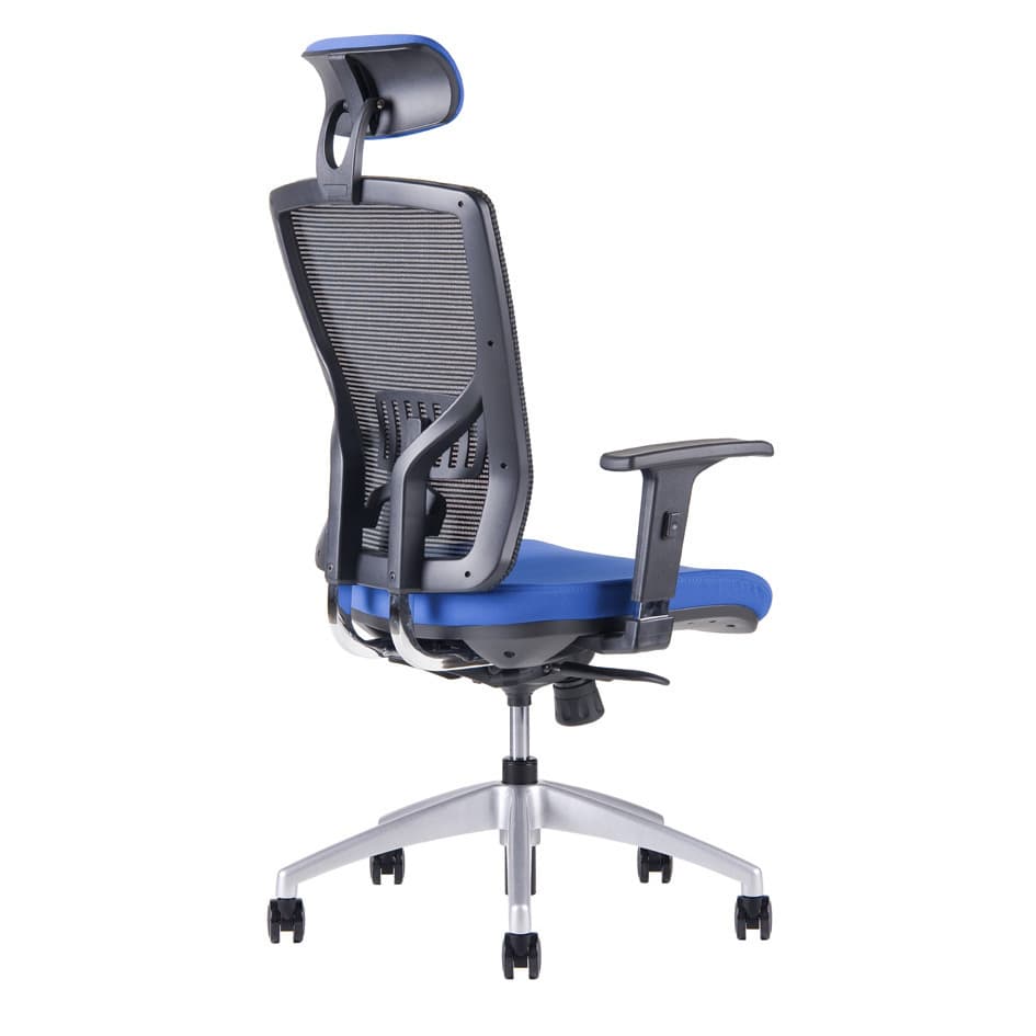 Kancelářská ergonomická židle HALIA MESH SP – s podhlavníkem, více barev Modrá 2621 - náhled 4