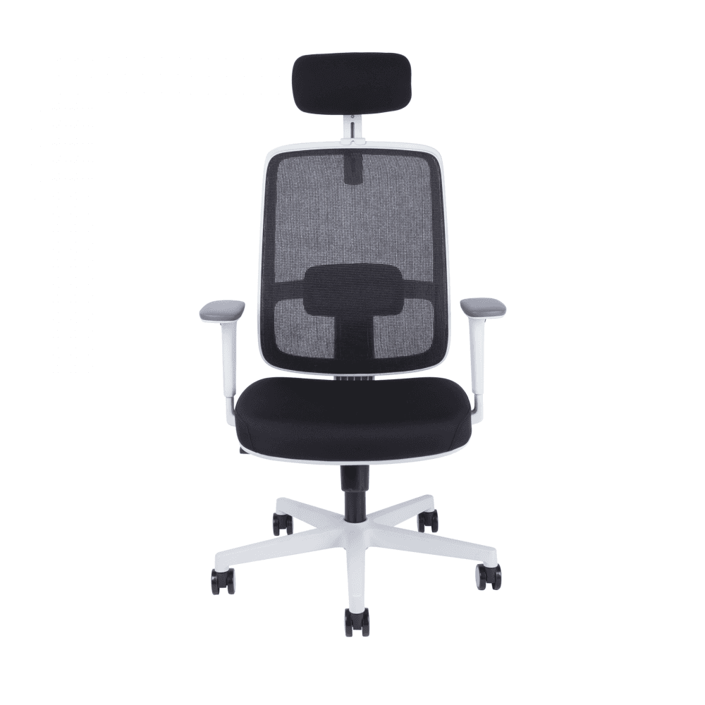 Kancelářská ergonomická židle CANTO W — černá / bílá - náhled 2