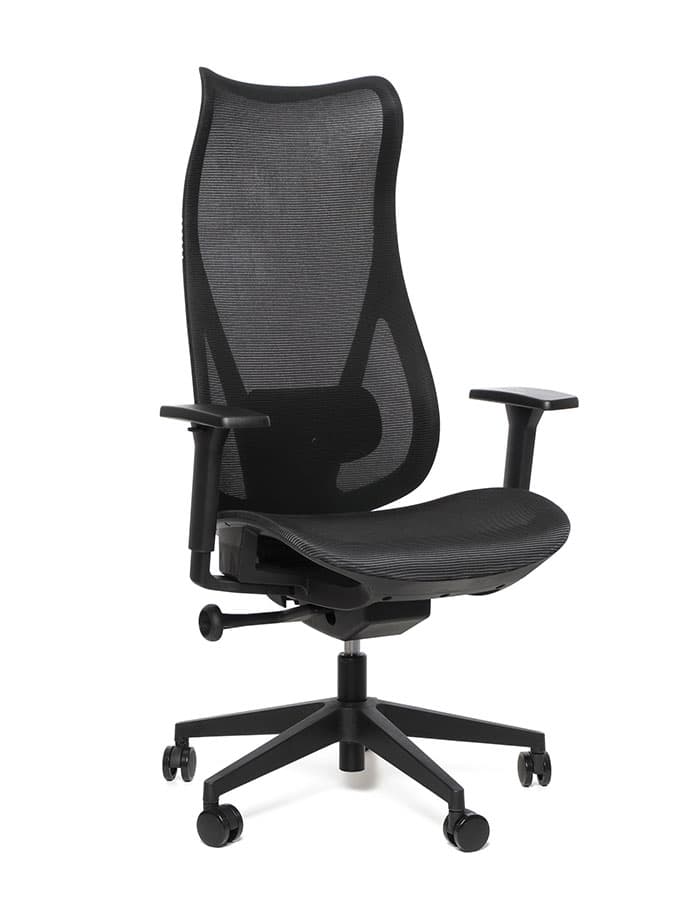 Kancelářská ergonomická židle Sego HARMONY — síť, černá Sego