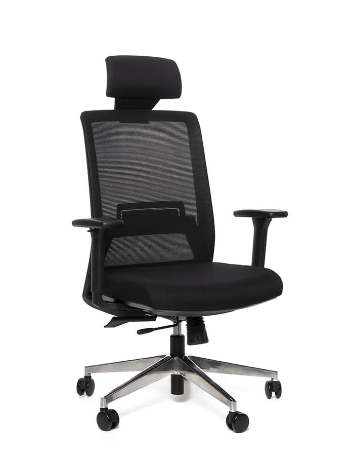 Kancelářská ergonomická židle Sego FRAME — síť/látka, černá Sego