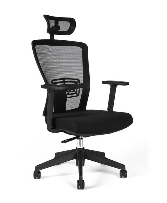 Office Pro Themis SP
