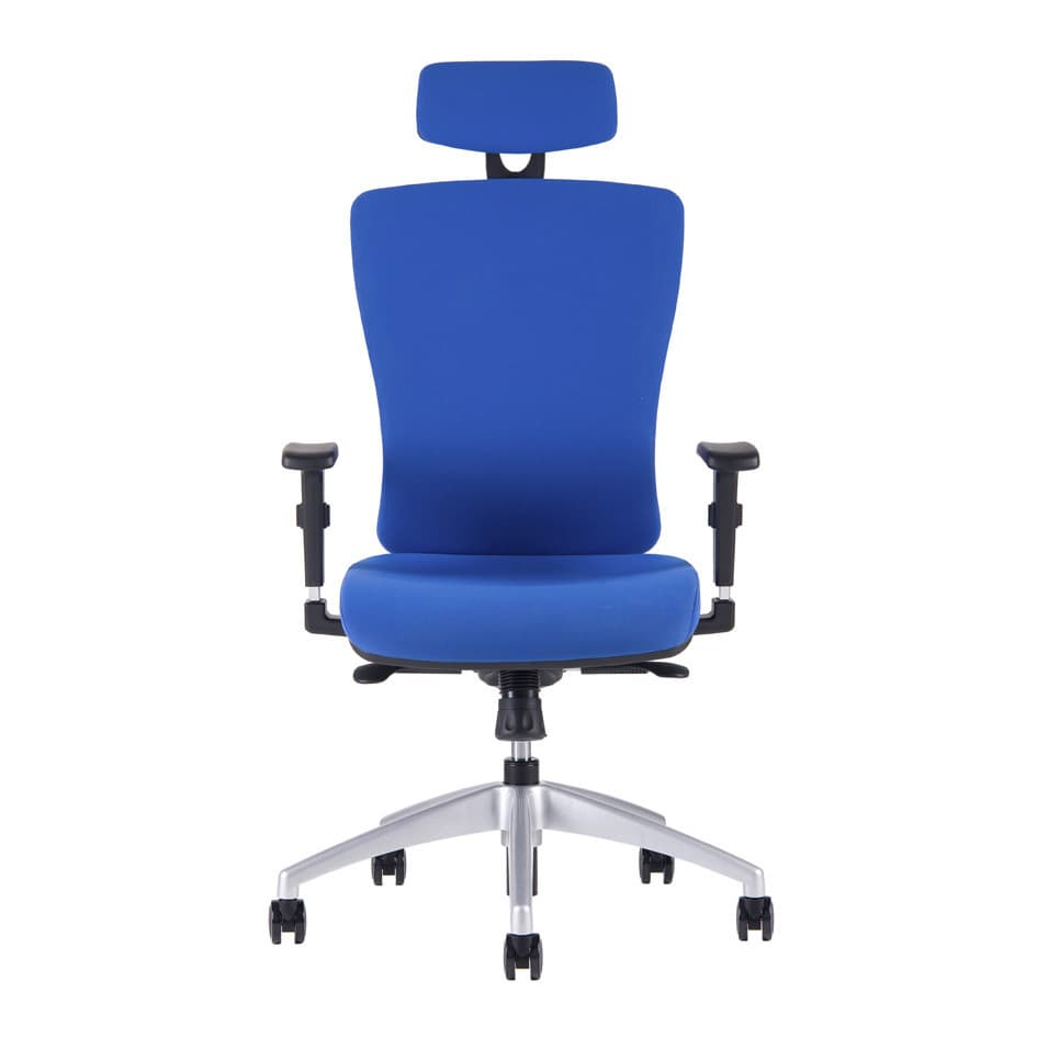 Kancelářská ergonomická židle HALIA SP – s podhlavníkem, více barev Modrá 2621 - náhled 2
