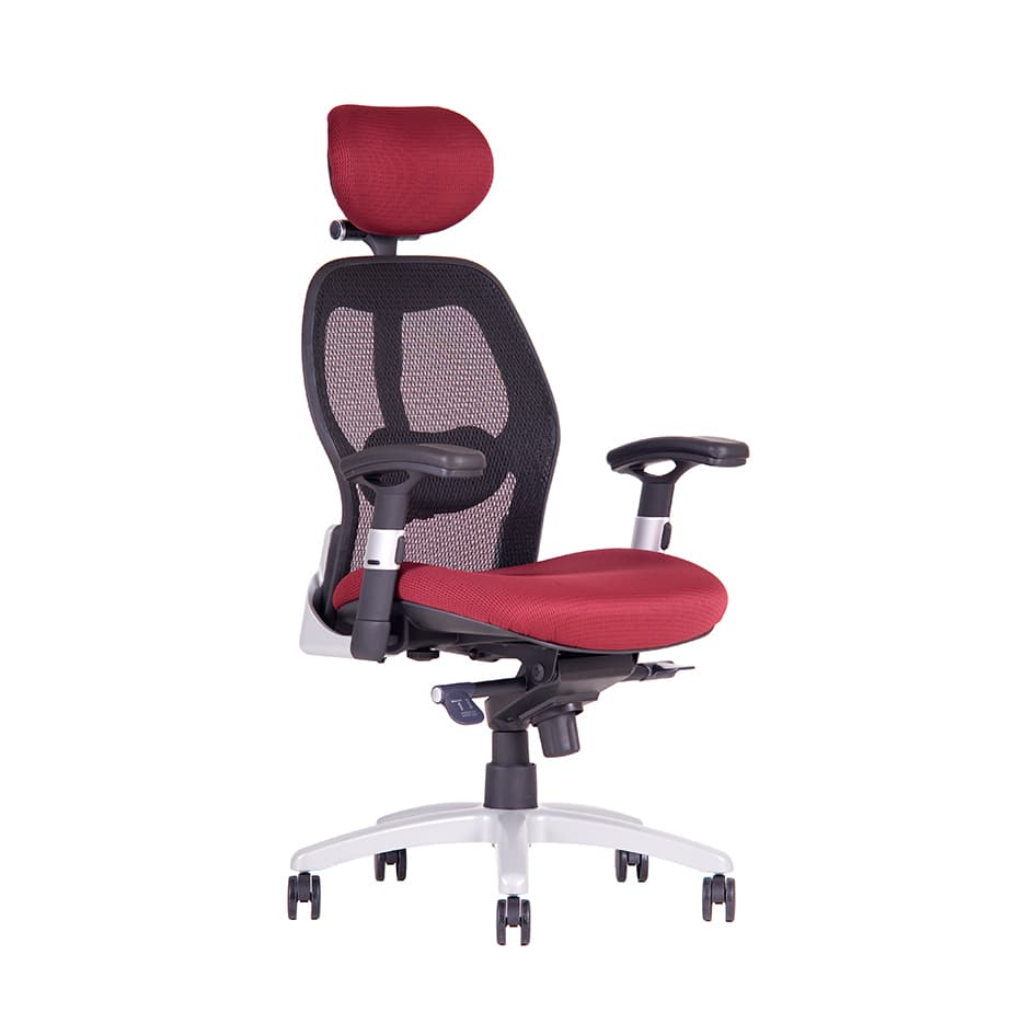 Office Pro Saturn Net