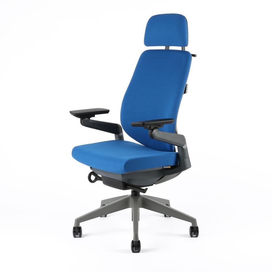 Kancelářská ergonomická židle KARME — více barev, s podhlavníkem a područkami Modrá F03 - náhled 5