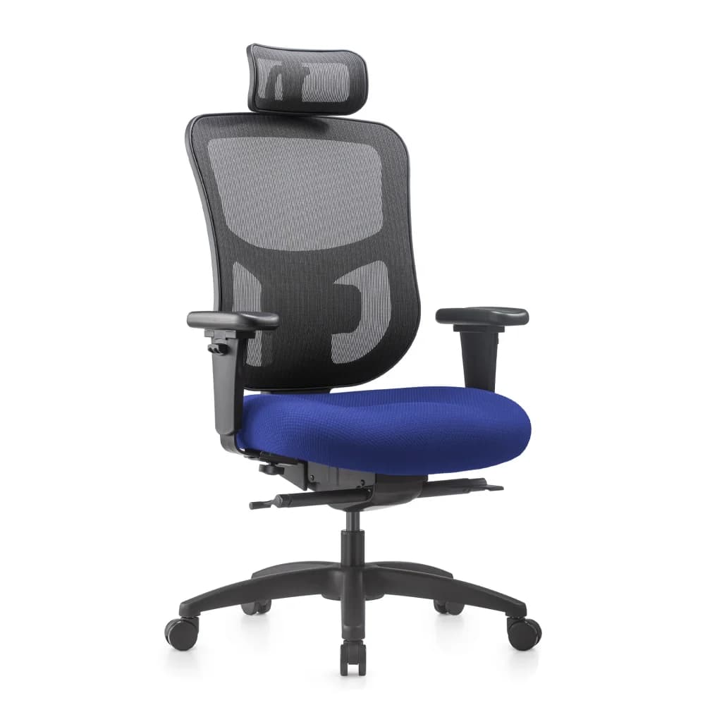 Kancelářská ergonomická židle NATUS Q24 – síťovaná, nosnost 180 kg, záruka 3 roky, více barev modrá