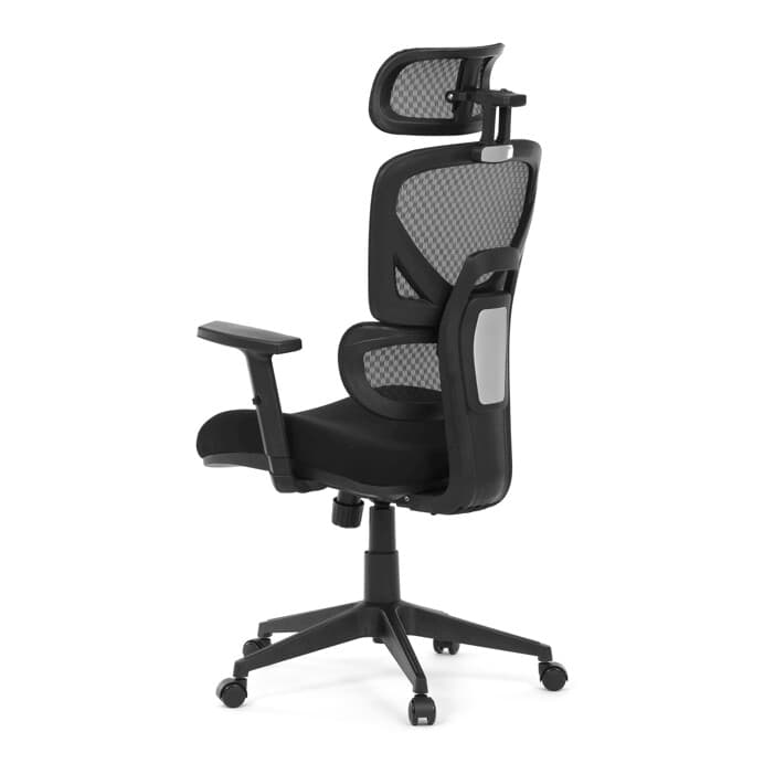 Ergonomická kancelářská židle DENEB — černý mesh potah Autronic - náhled 4