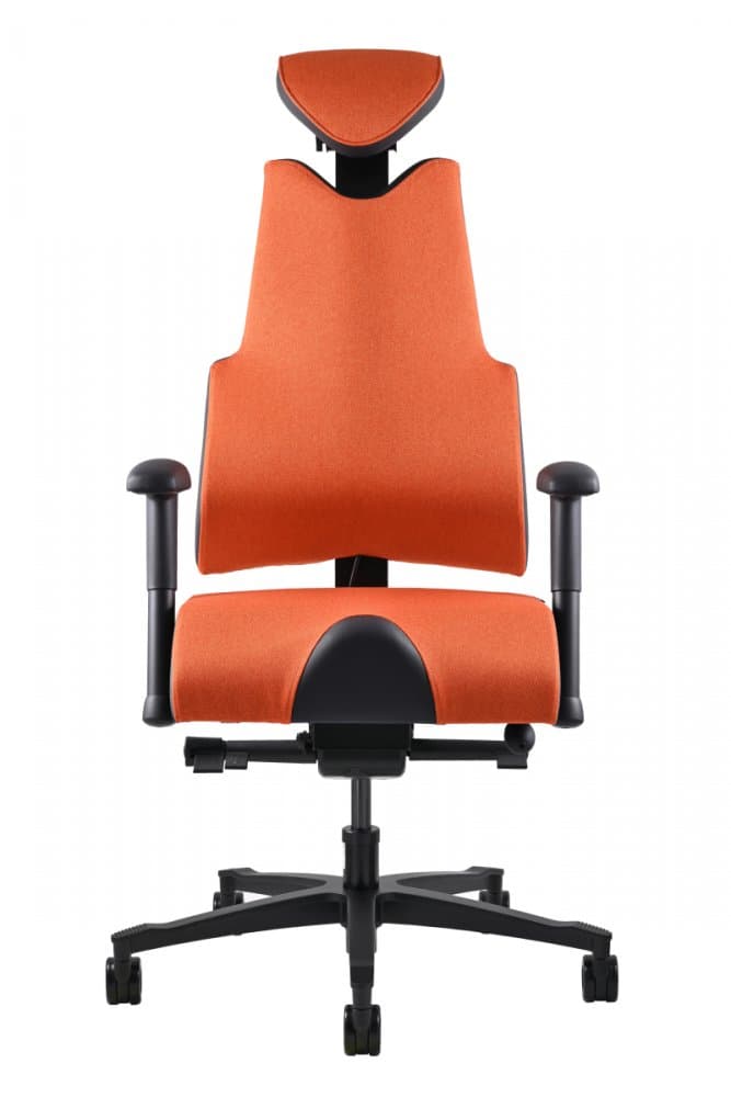 Prowork Therapia Body+ - náhled 3